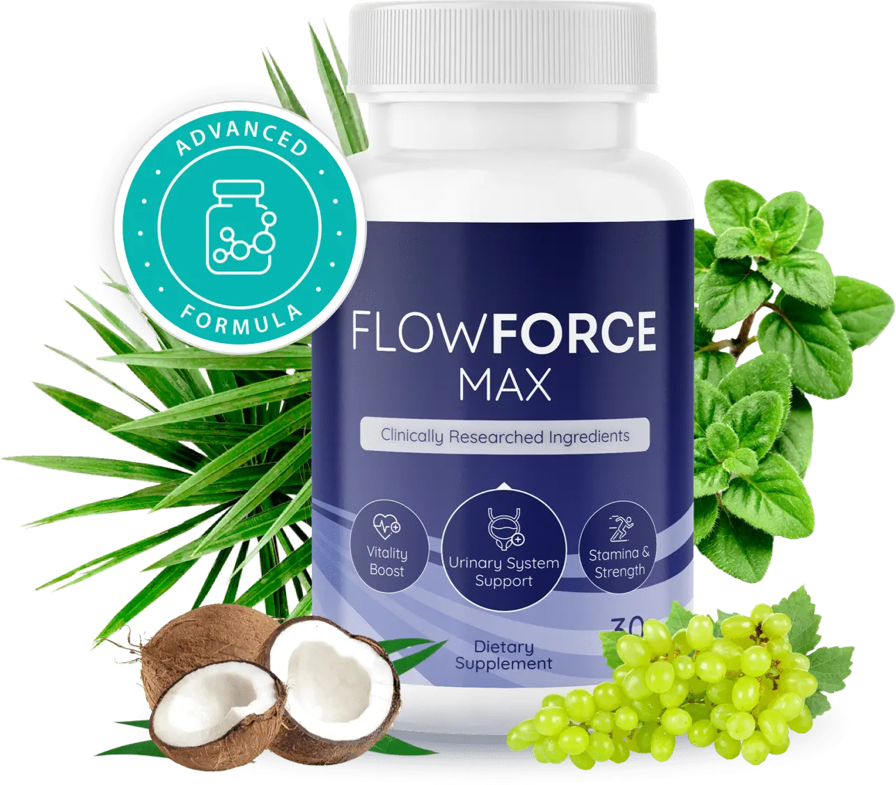 FlowForce Max Natural Prostate Support